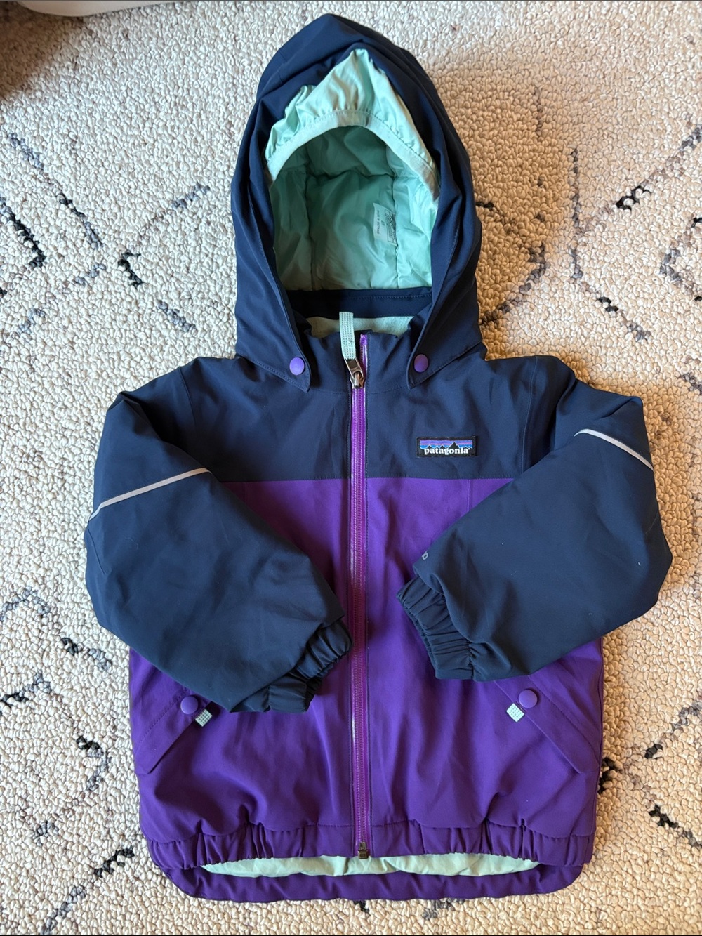 Patagonia jacket 2t EUC